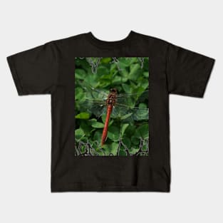 Dragonfly Wings Kids T-Shirt